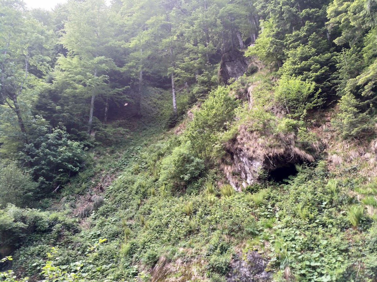 Peștera de Lapte - foto 4