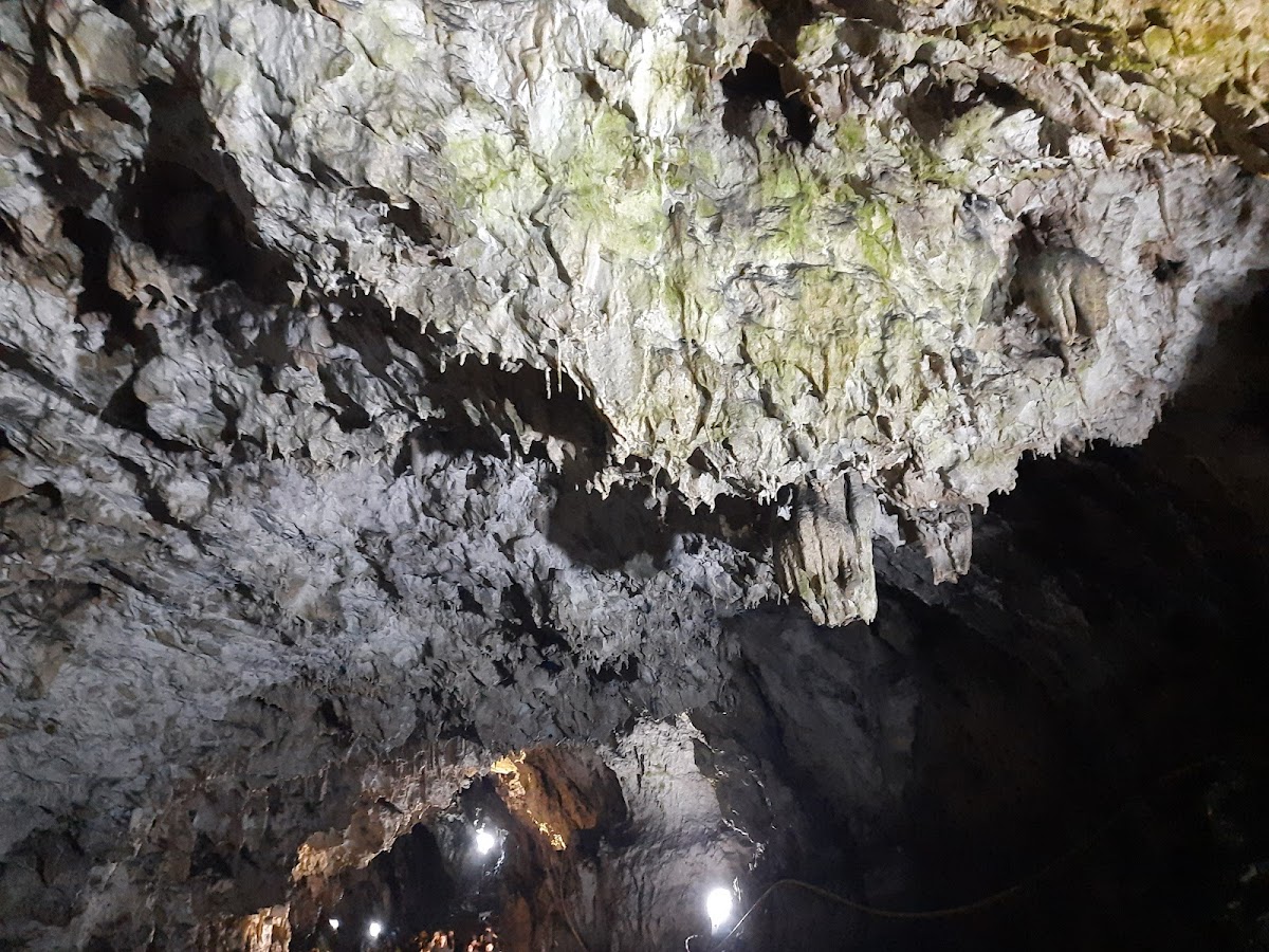 Peștera Polovragi - foto 2