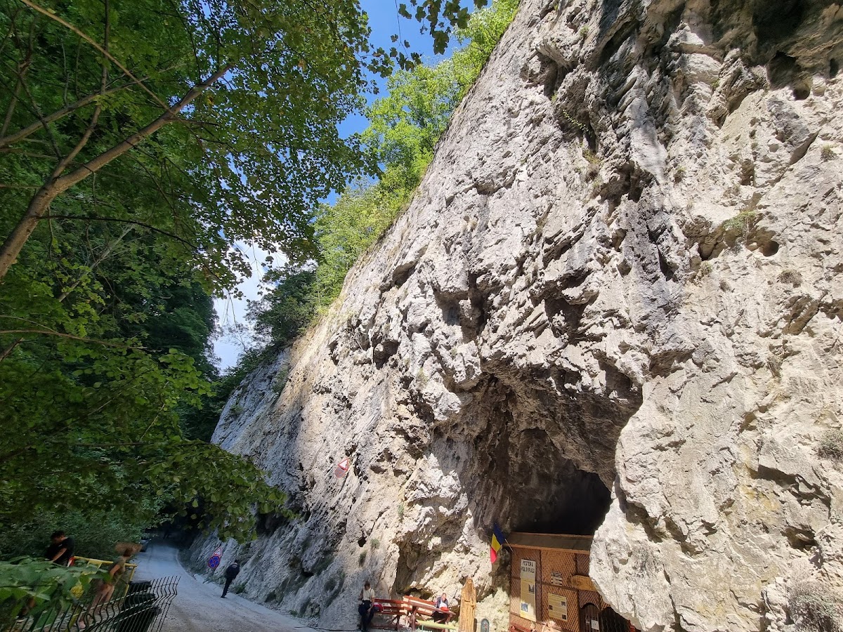 Peștera Polovragi - foto 4