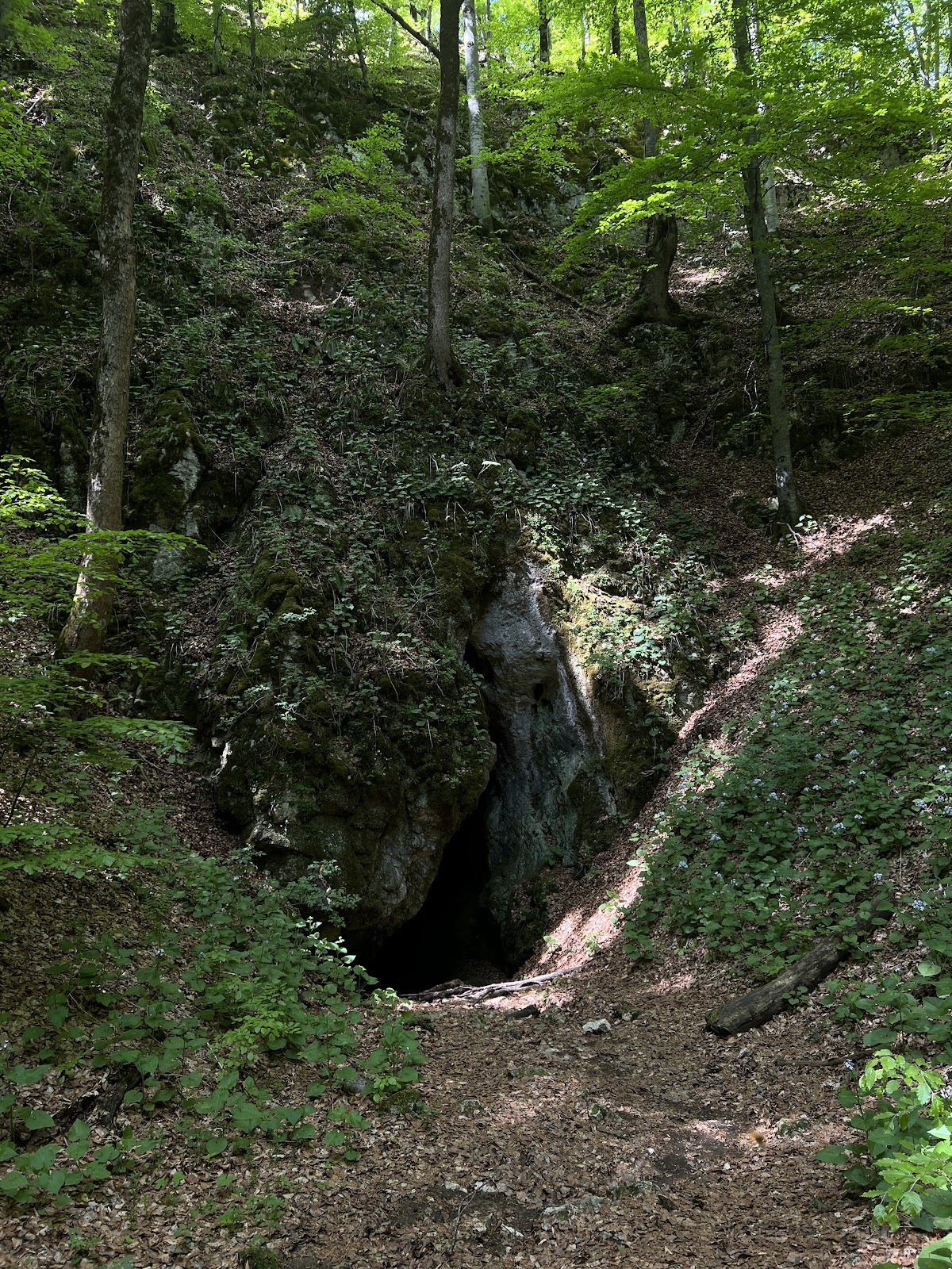 Grotta di Râșnoavei - foto 1