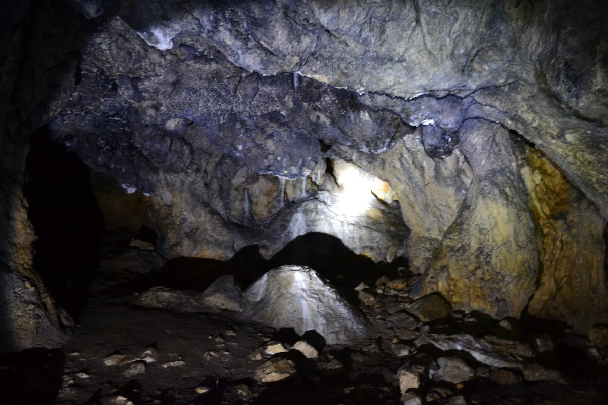 Grotta di Râșnoavei - foto 2