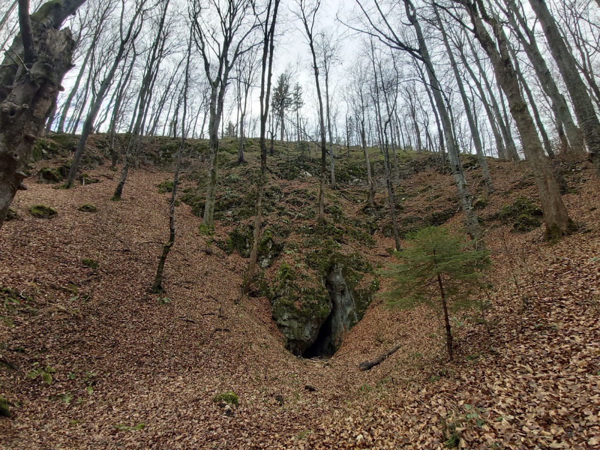 Grotta di Râșnoavei - foto 3