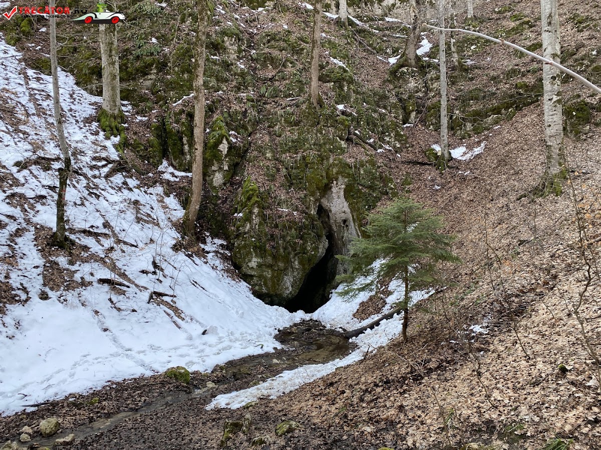 Grotta di Râșnoavei - foto 4