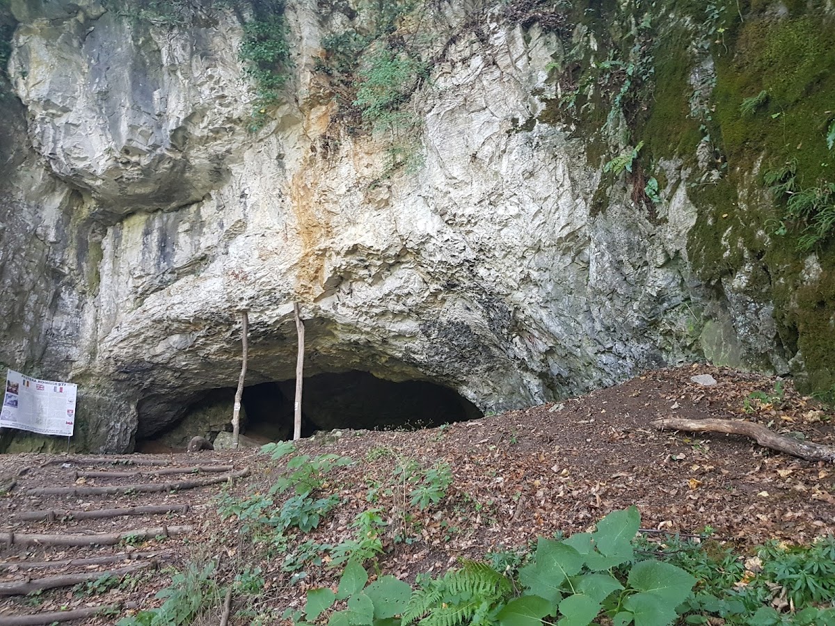 Peștera Românești