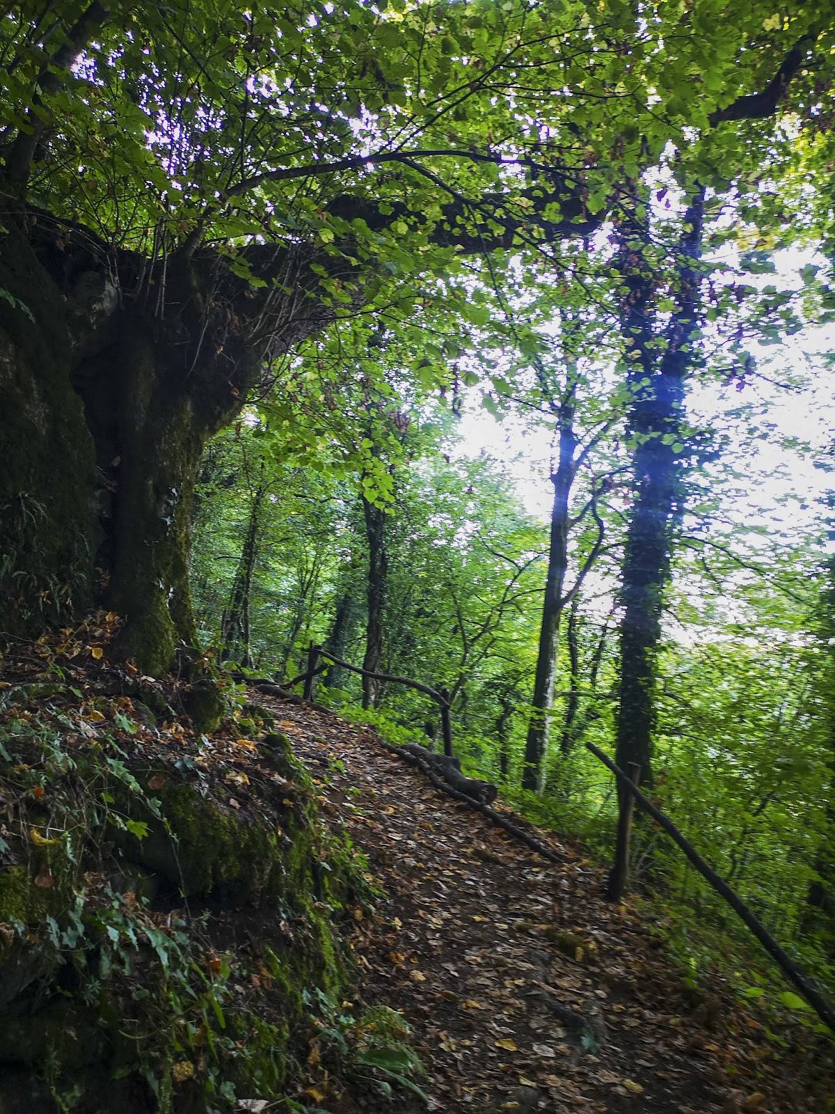 Peștera Românești - foto 4