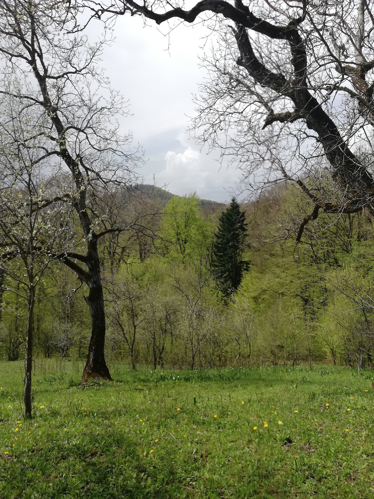Peștera sfinților Iosif și Chiriac de la Bisericani - foto 4