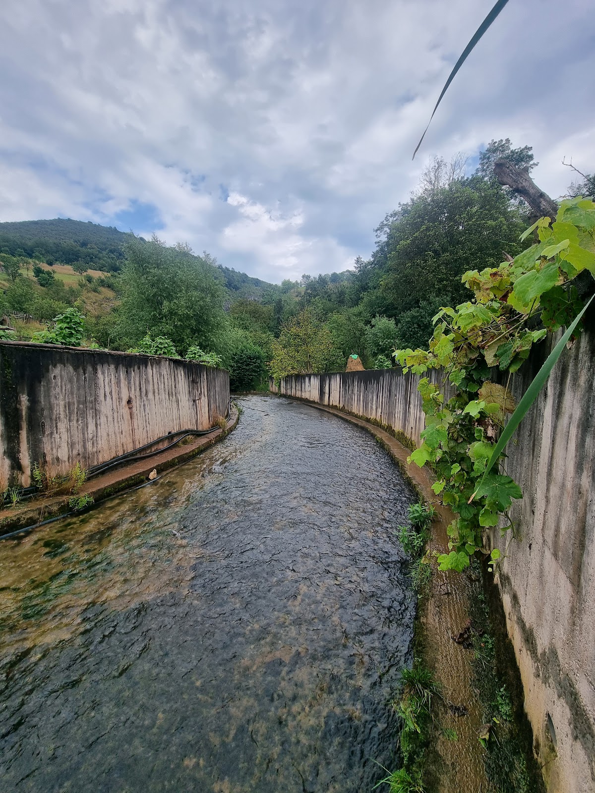 Peștera Șura Mare - foto 4