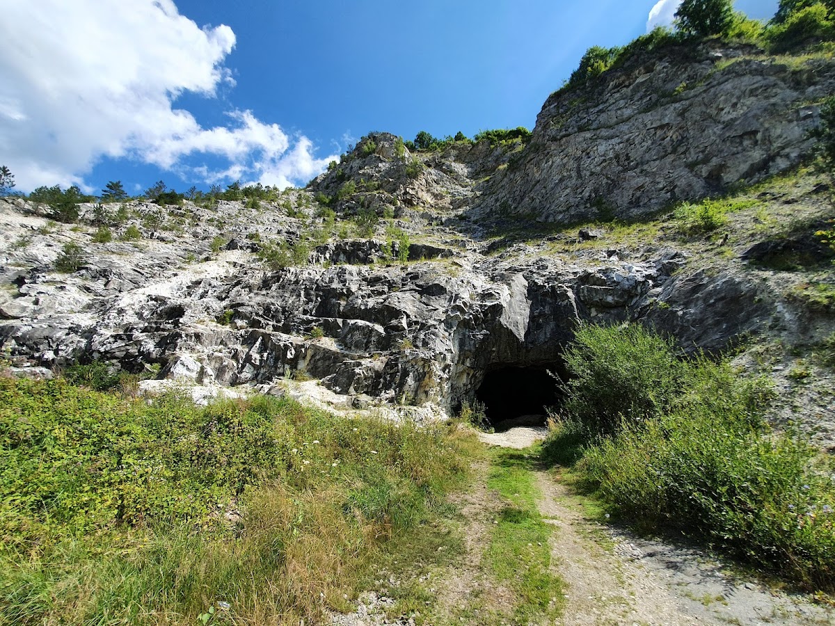Surduc Cave - foto 2