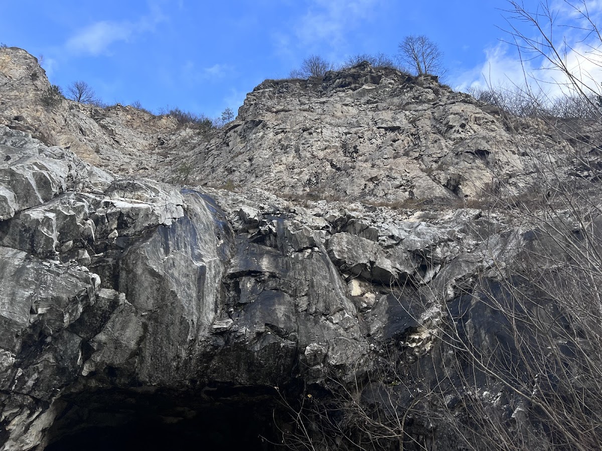 Surduc Cave - foto 3