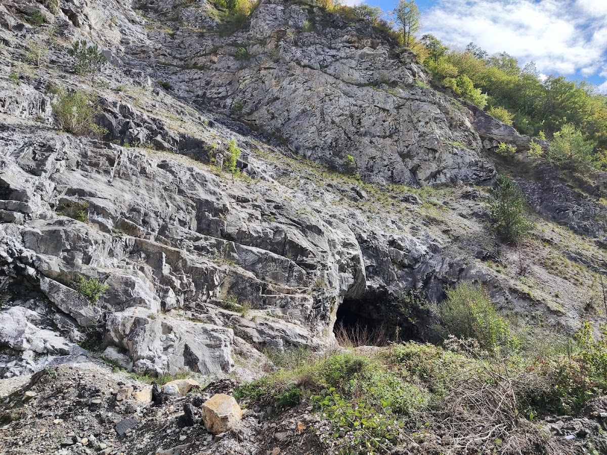 Surduc Cave - foto 4