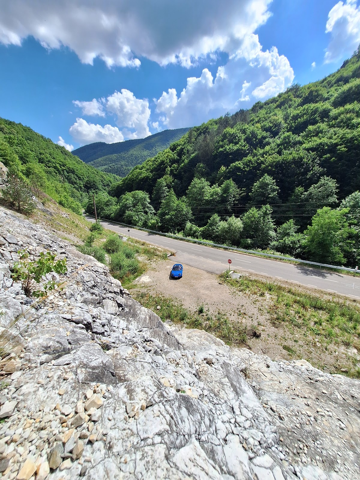Surduc Cave - foto 5
