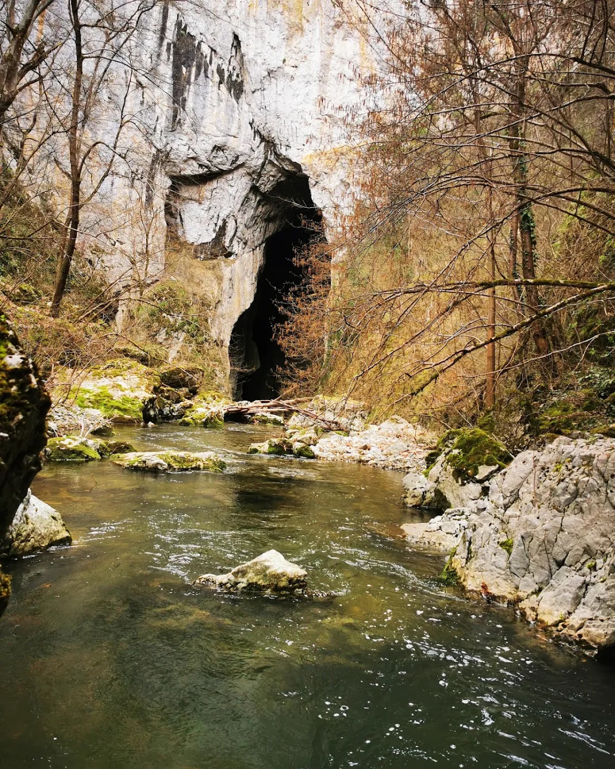 Topolnița Cave - foto 5