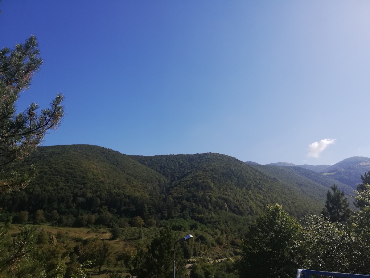 Peștera Urșilor - foto 5