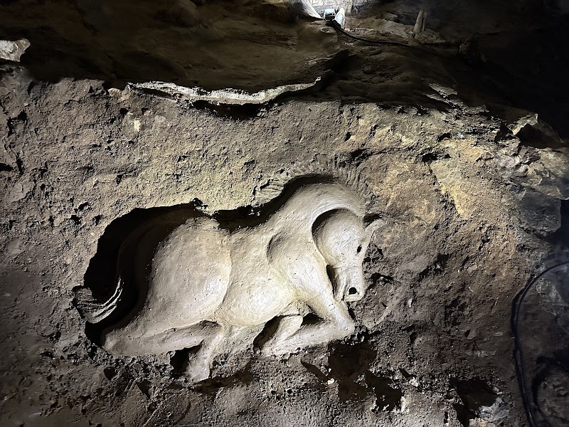 Peștera Valea Cetății - foto 3