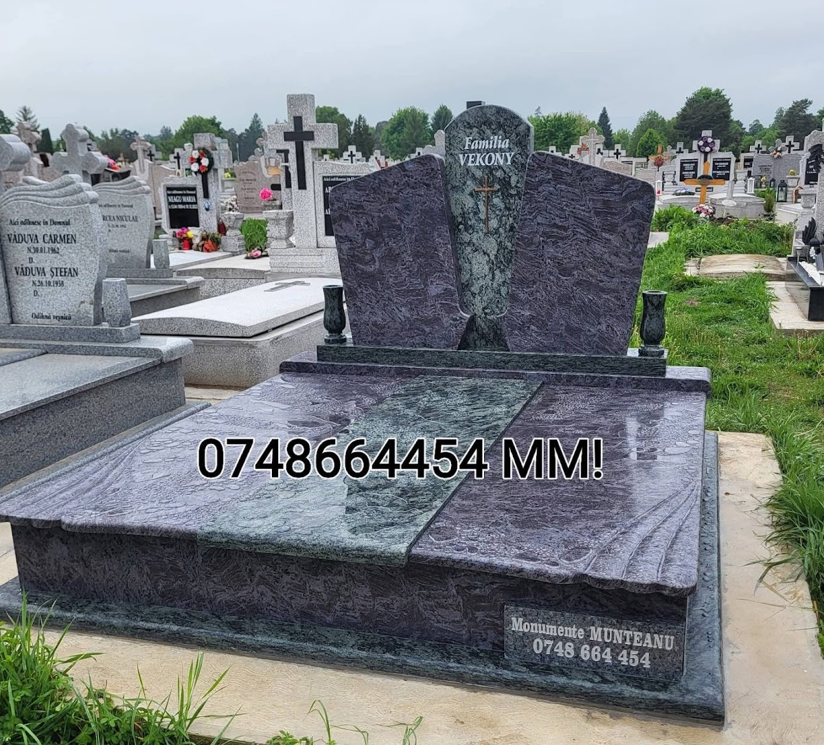 PFA MUNTEANU A. VASILE