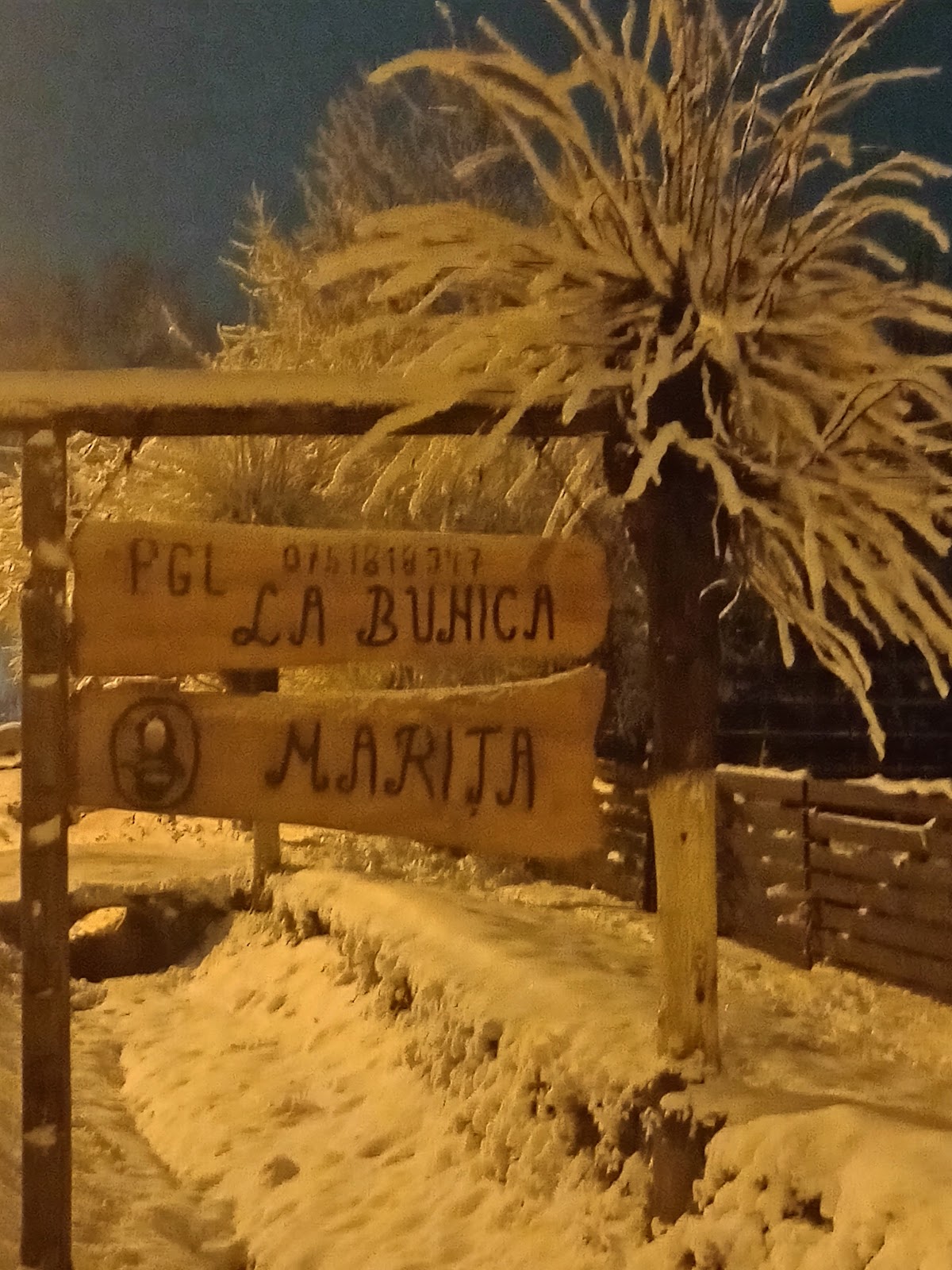 PGL La Bunica Marița Putna - foto 3