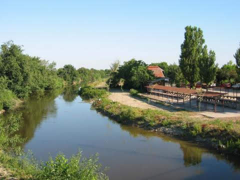 Piaţa - foto 5