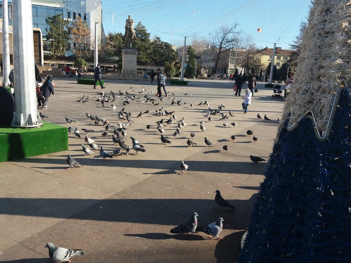 Piața Civică - foto 3