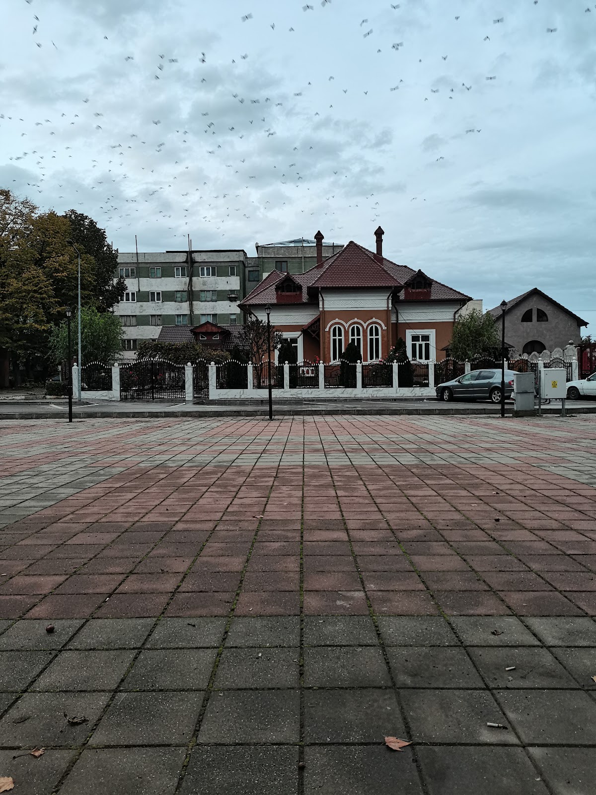 Piata Civica Bailesti - foto 5