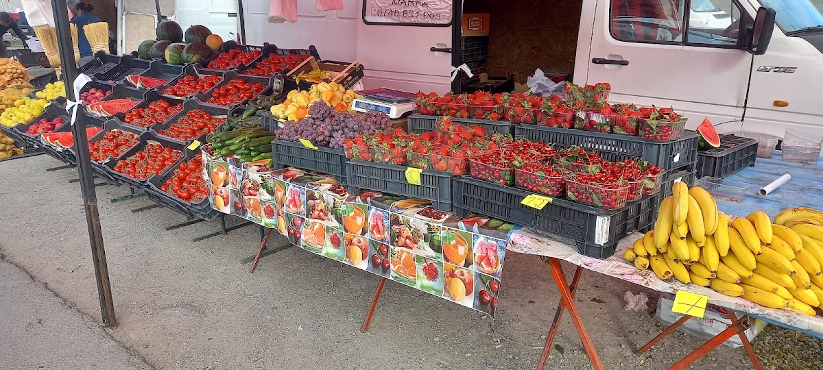 Piata Pancota - foto 2