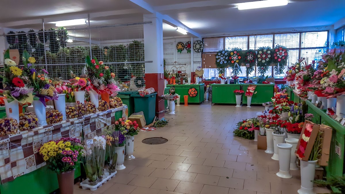 Piața Someș - foto 2