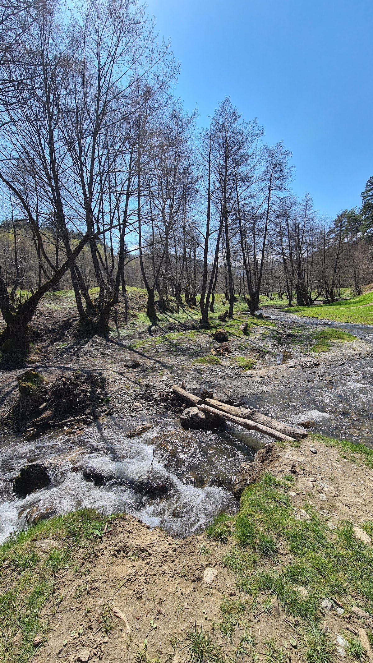Piatra Broaștei - Calcare cretacice - Monument natural protejat - foto 2