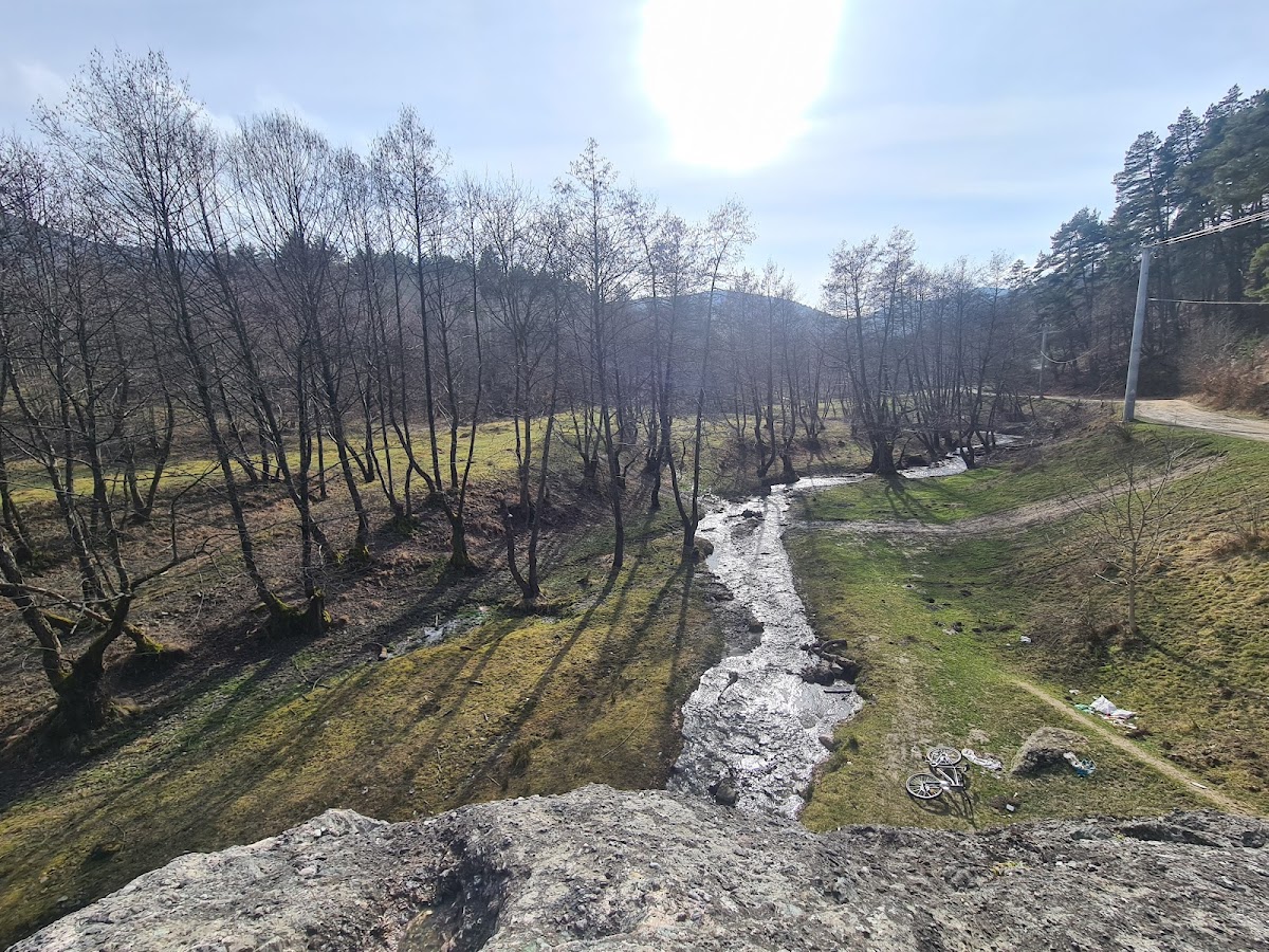 Piatra Broaștei - Calcare cretacice - Monument natural protejat - foto 4