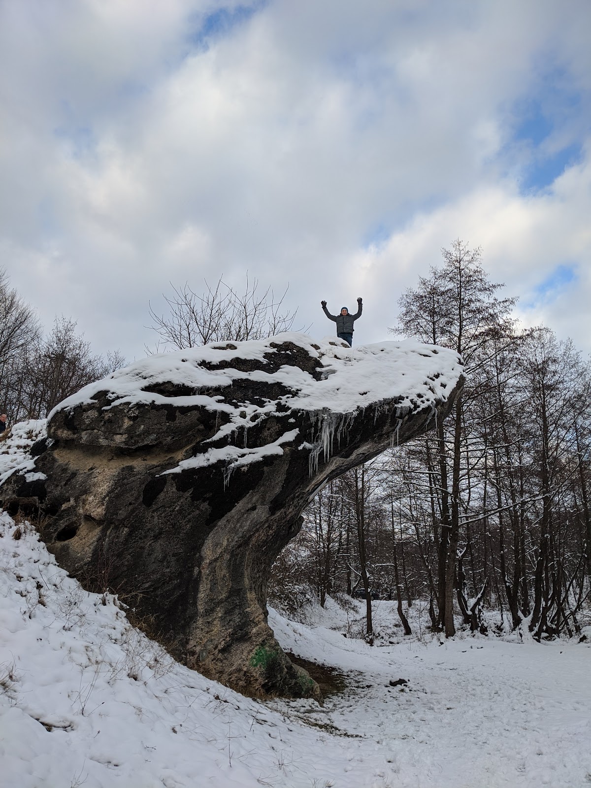 Piatra Broaștei - Calcare cretacice - Monument natural protejat - foto 5