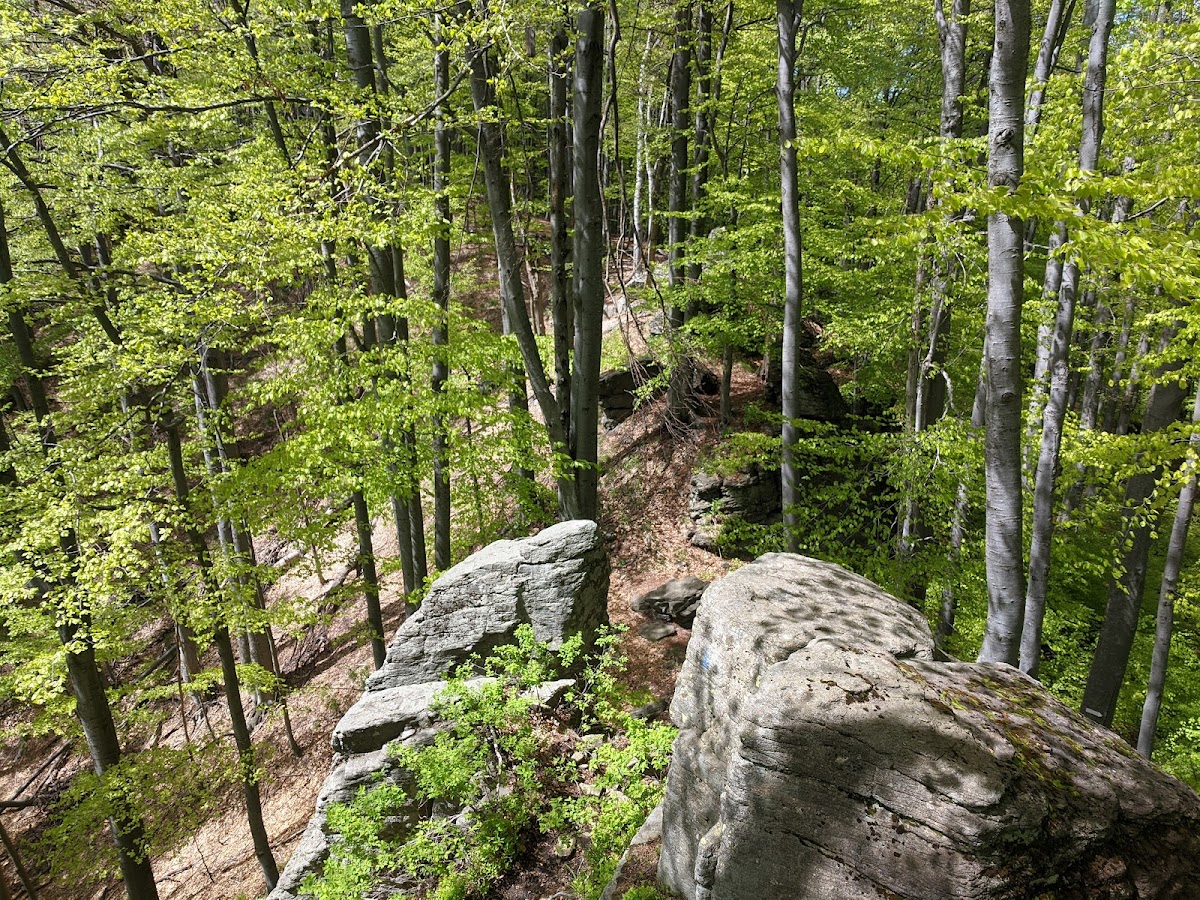Piatra Bulzului - foto 3