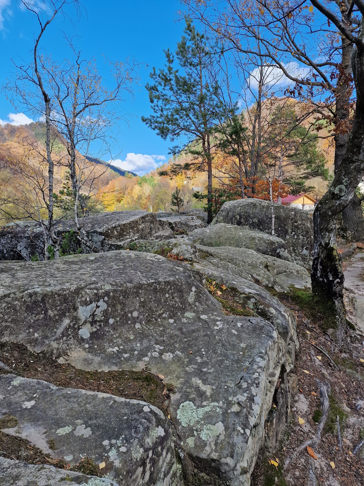 Piatra Lui Visan - foto 4