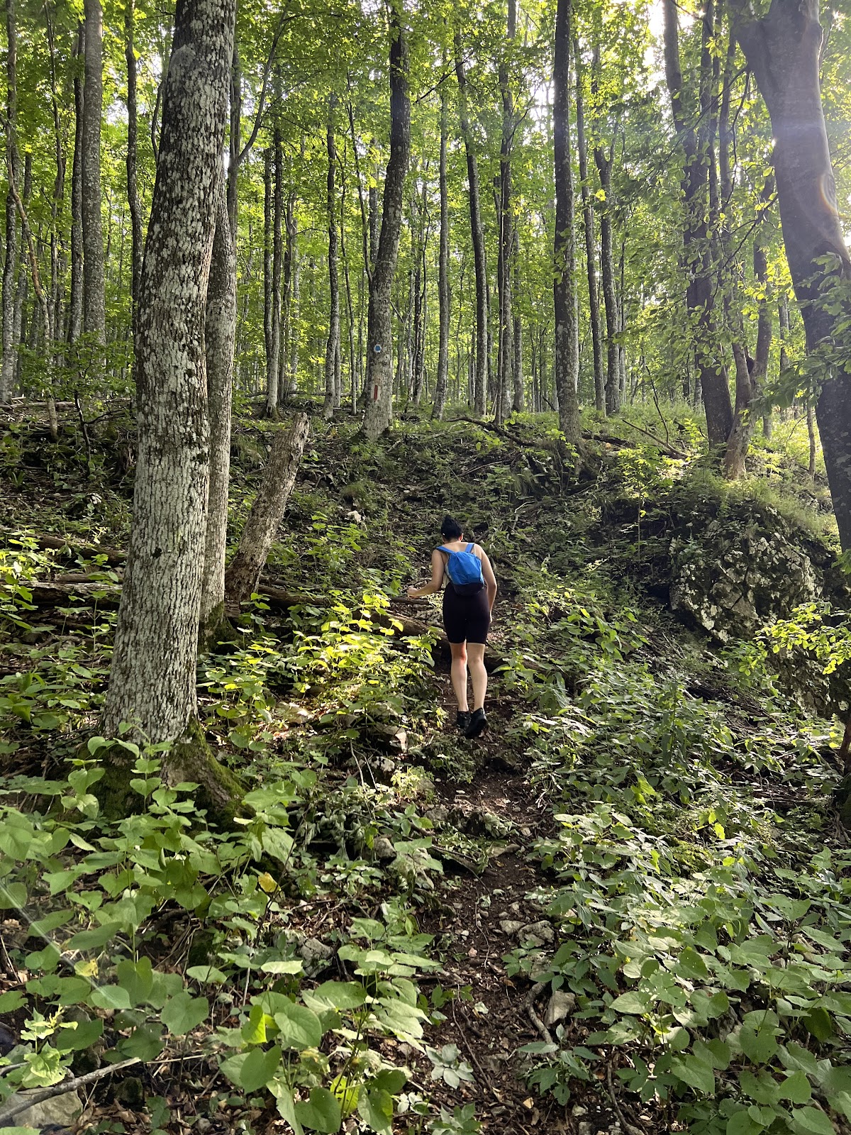 Piatra Rolului - foto 2