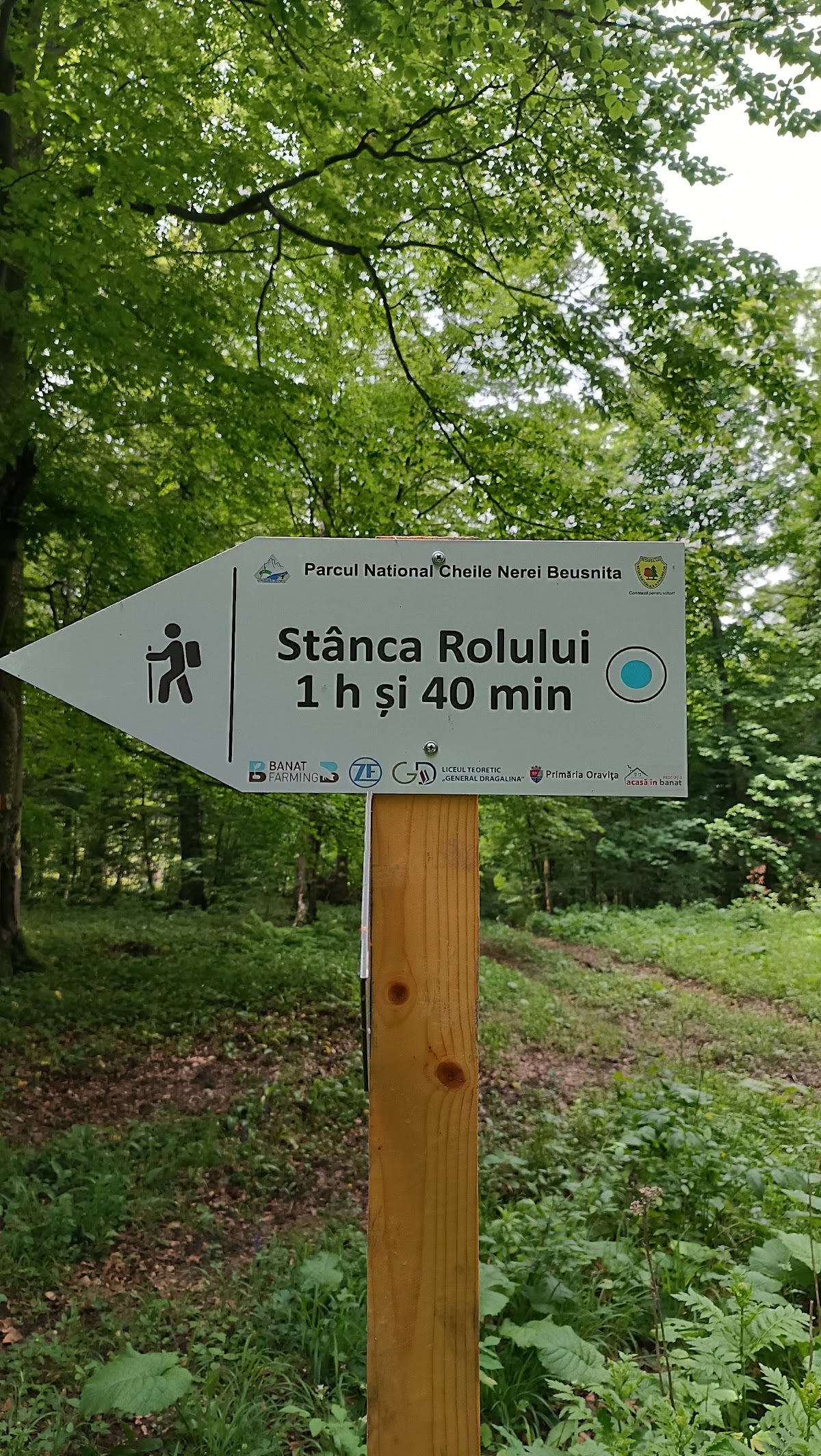 Piatra Rolului - foto 5