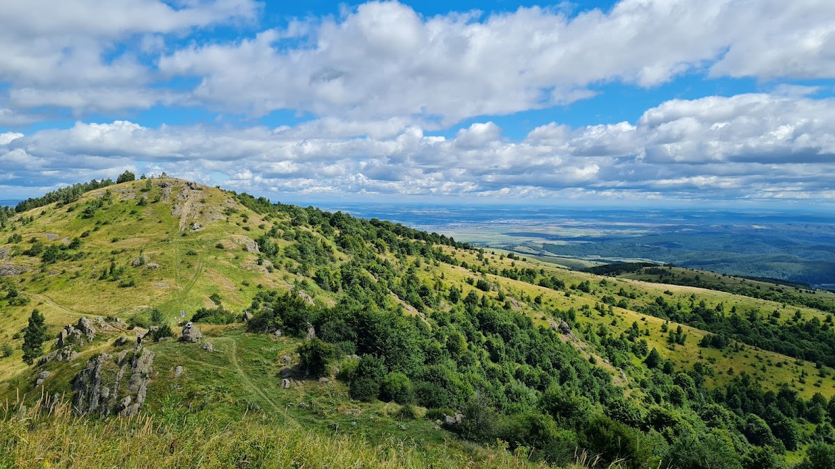 Piatra Secuiului - foto 4