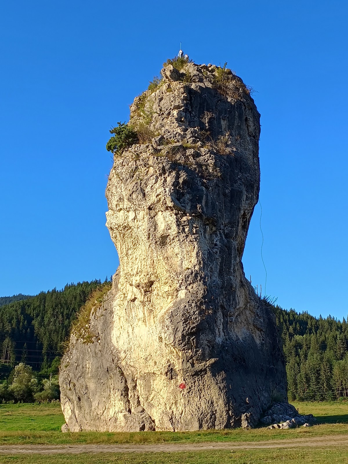 Piatra Teiului (Piatra Dracului) - foto 3