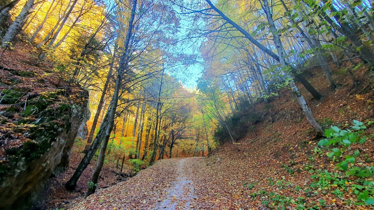 Pietrele lui Solomon - foto 3