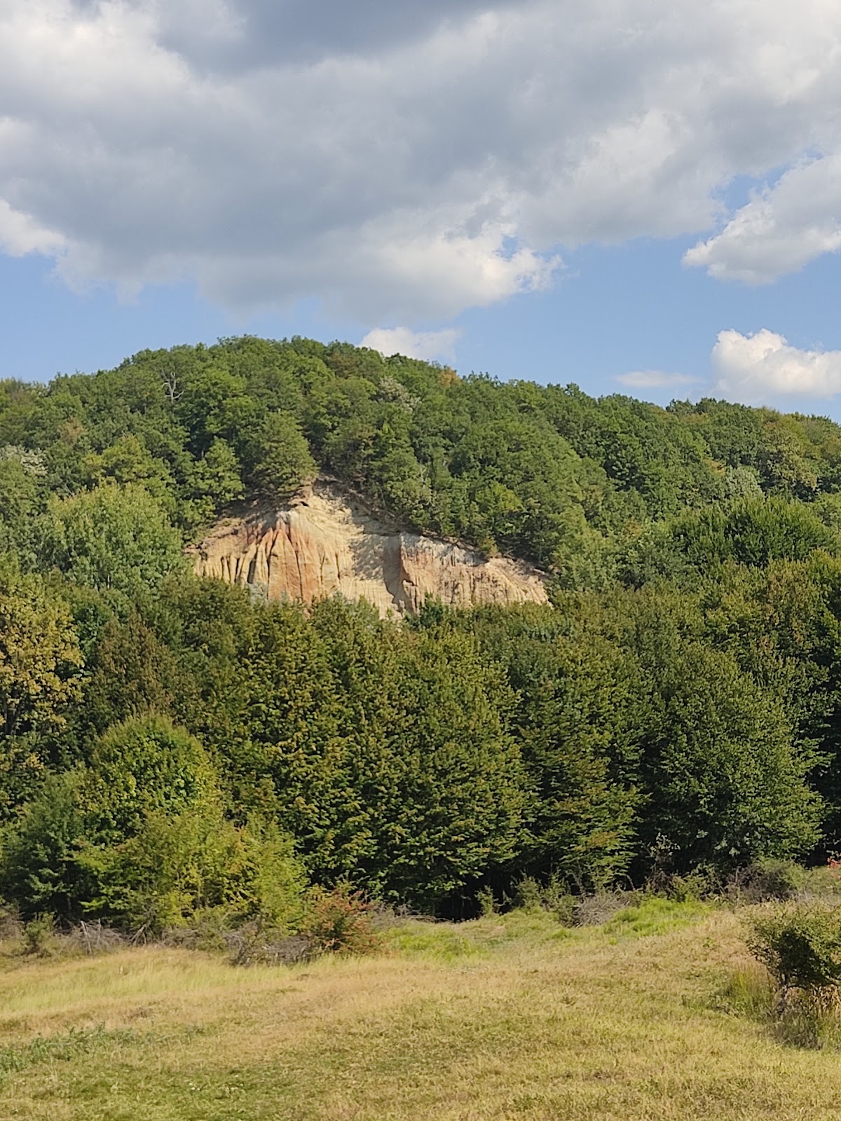 A Valea Stăncioiului Pyramisa - foto 3