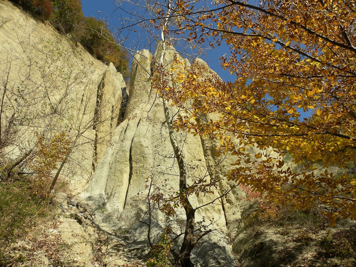 A Valea Stăncioiului Pyramisa - foto 4