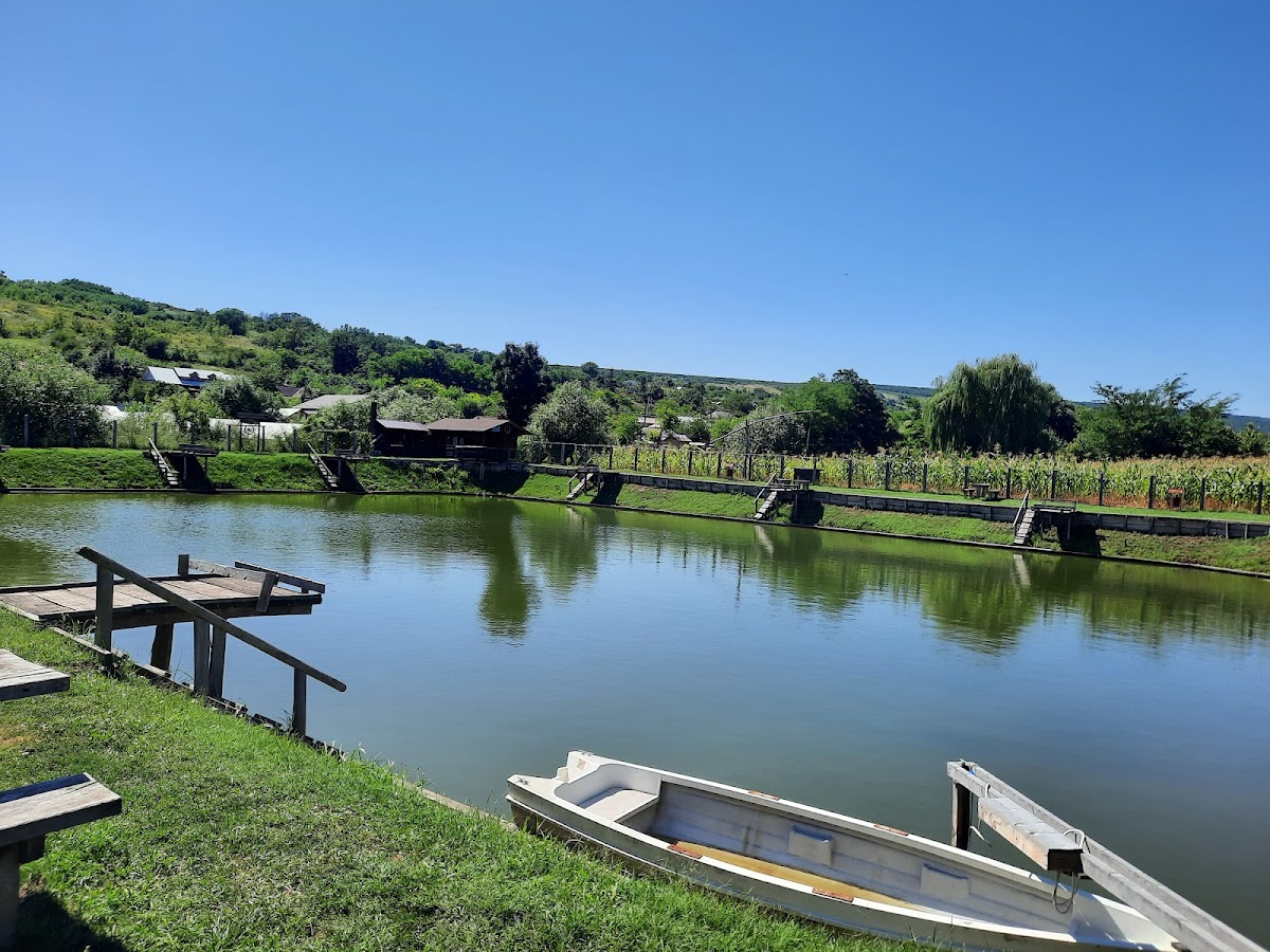 Piscina Pădureni - foto 3
