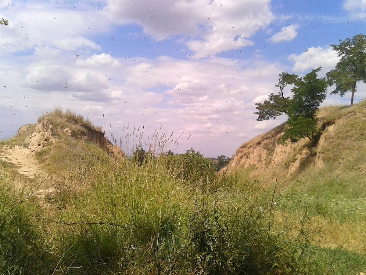 Piscul Crăsani - foto 4