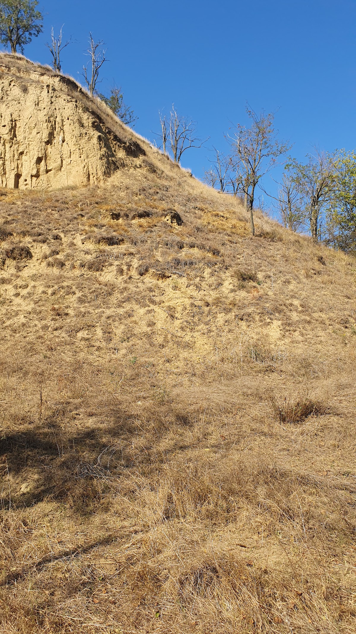 Piscul Crăsani - foto 5
