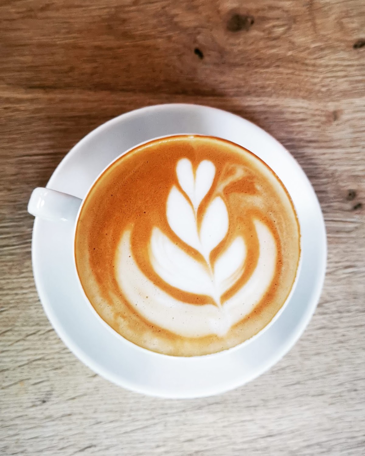 Pizza Alfredo - foto 4