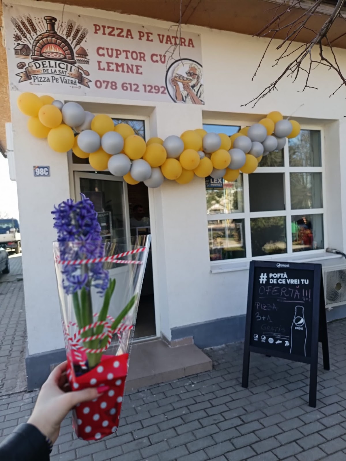Pizzeria Delicii de la sat