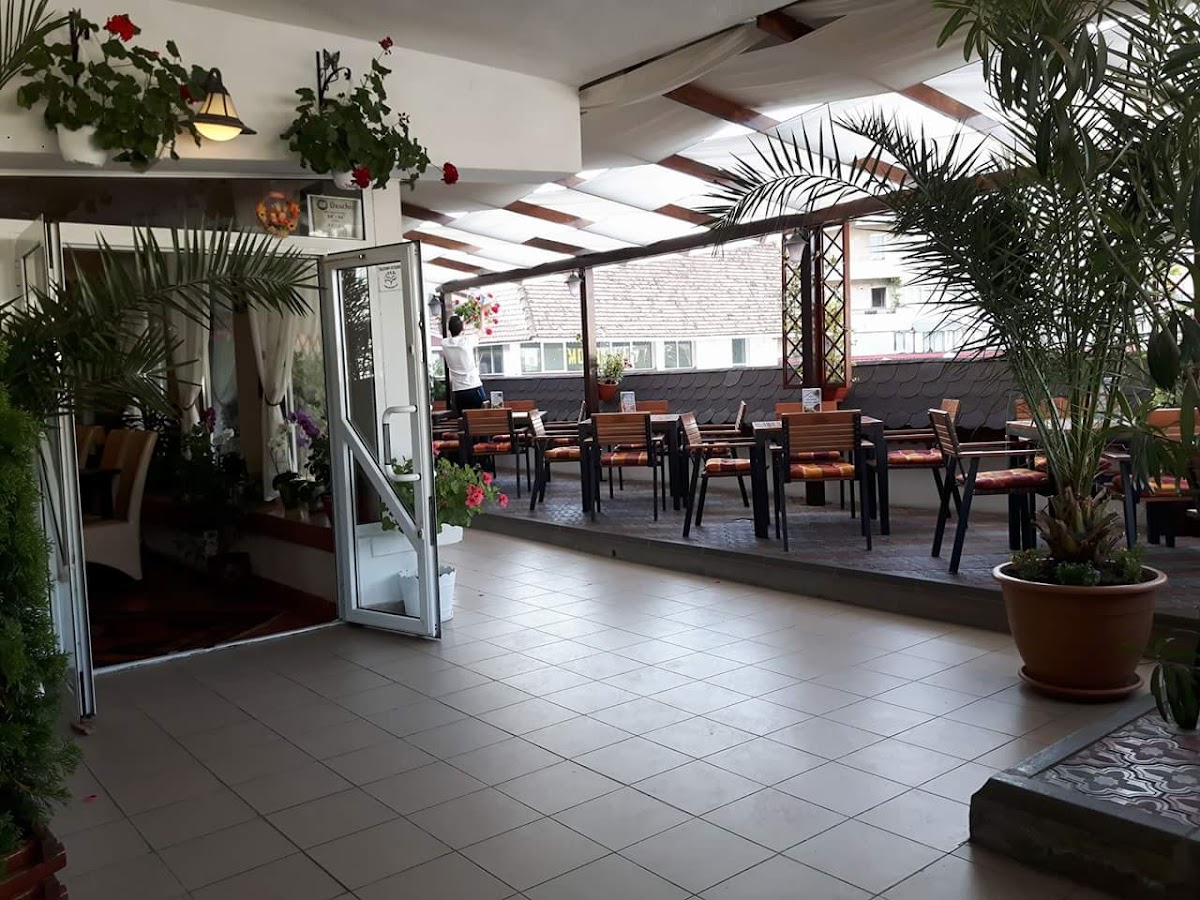 Pizzeria Karin Vale - foto 3