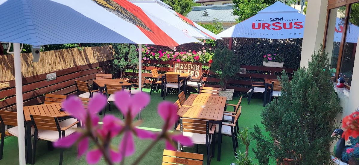 PIZZERIA TEMPO - foto 1