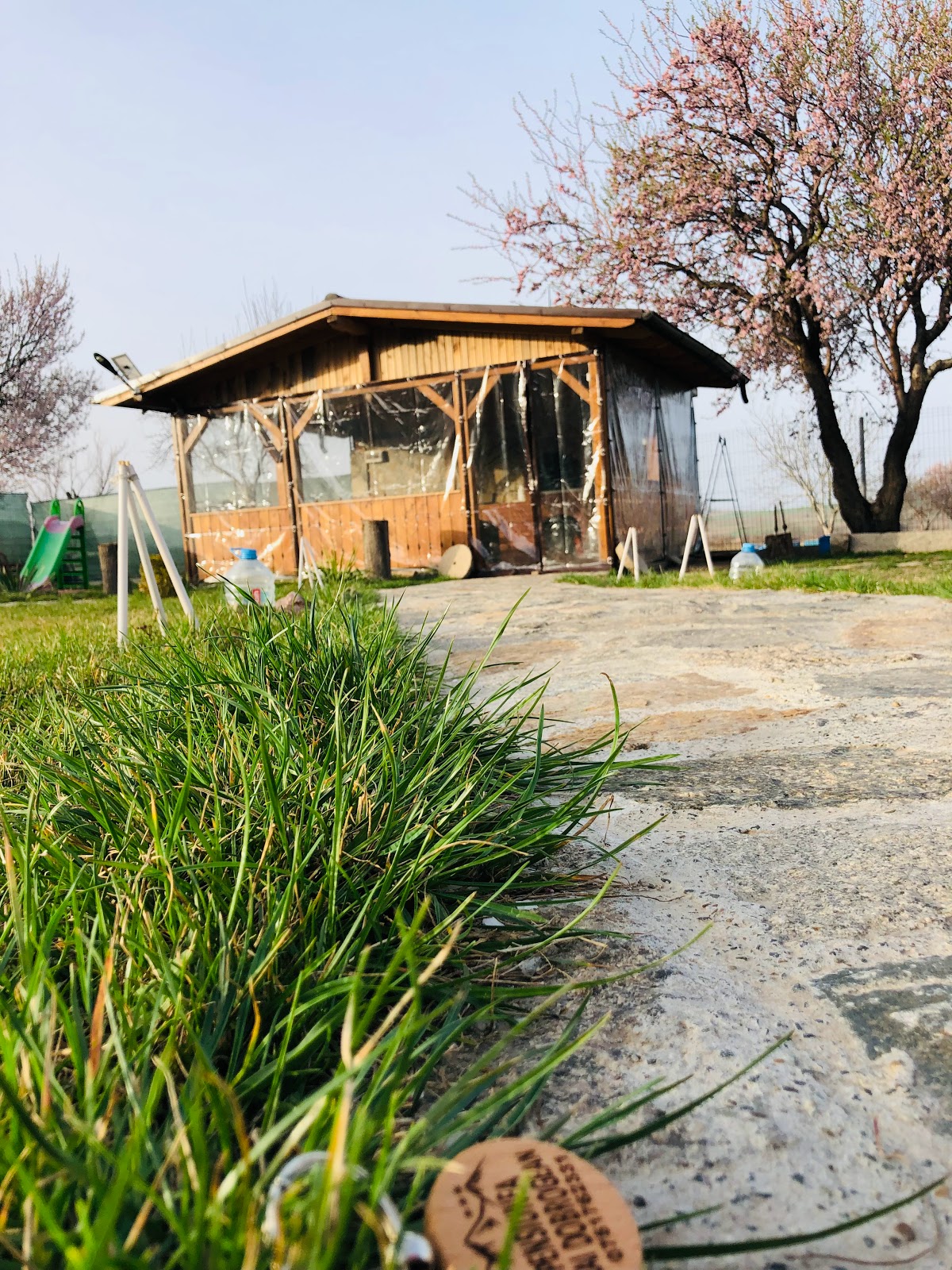 Plai Dobrogean - foto 1