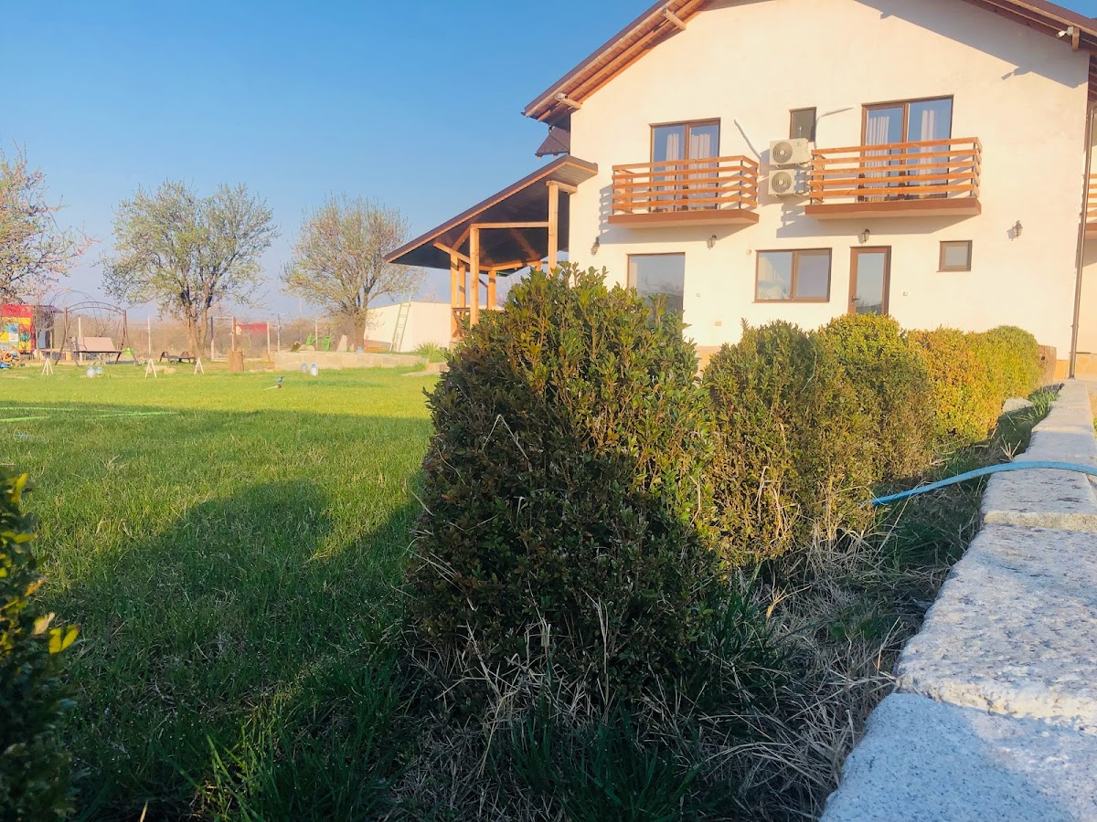 Plai Dobrogean - foto 5