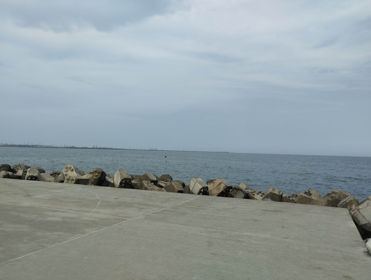 Plaja Debarcader - foto 3