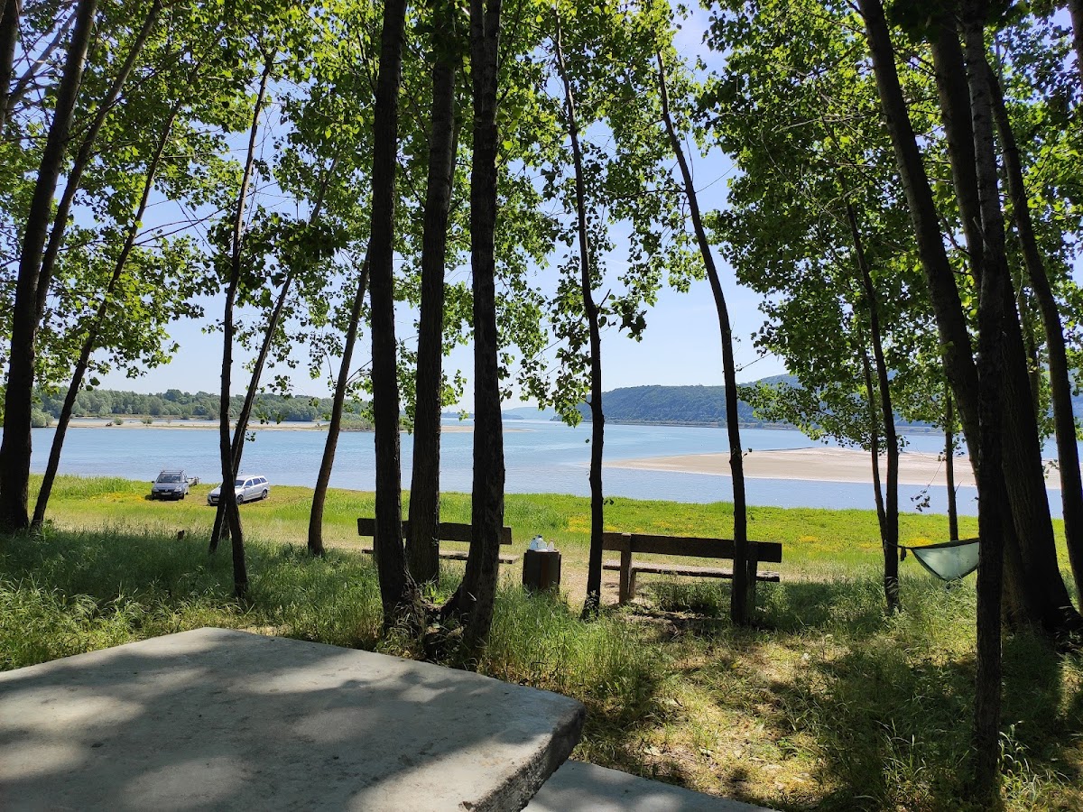 Plage de Gura Oltului - foto 3