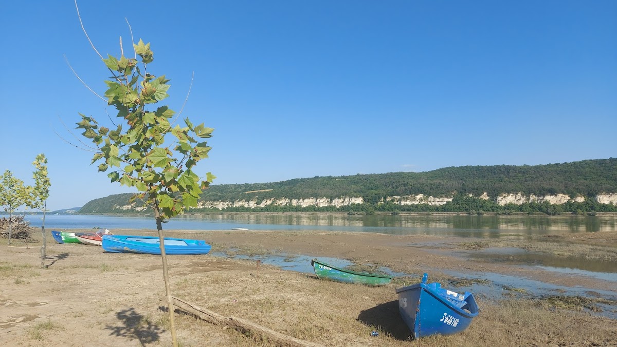 Plage de Gura Oltului - foto 5