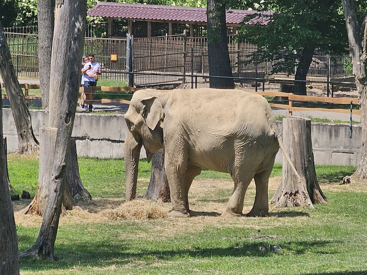 Corneşti Plateau - foto 4